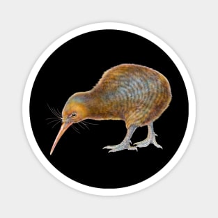 Kiwi Magnet